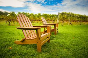 Adirondack chairs