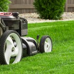 curb appeal landscaping