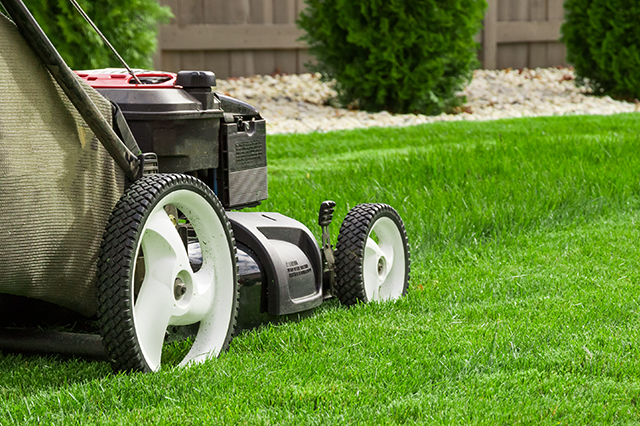 curb appeal landscaping