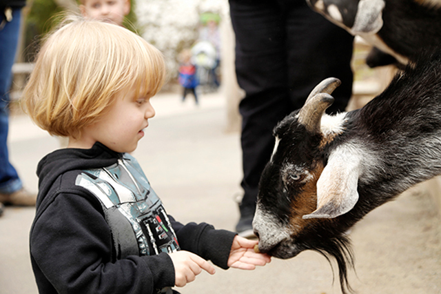 new england zoos