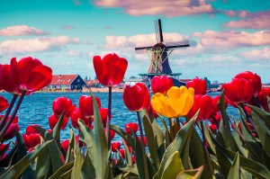 windmill by the water