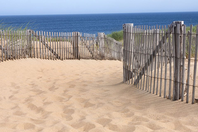 best beaches in new england