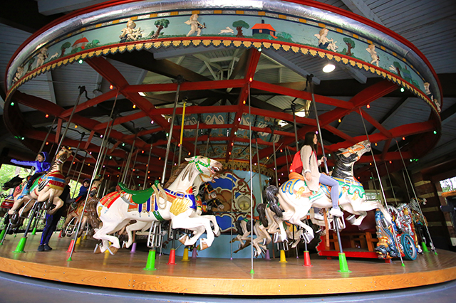 amusement park rides