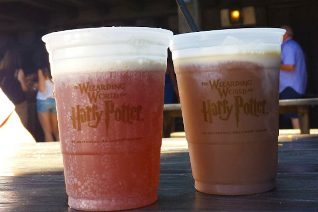 wizarding world of harry potter