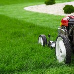 lawn mower in the yard