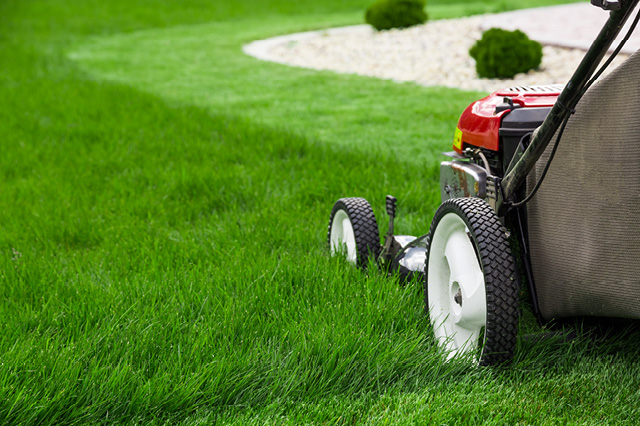 lawn mower in the yard