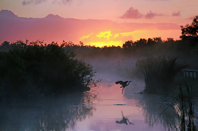 everglades national park