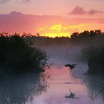 everglades national park