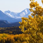 fall foliage in alaska