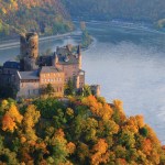 fall foliage in rhine