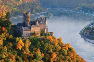 fall foliage in rhine