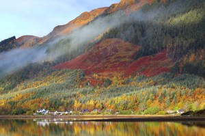 fall foliage in new england highlands