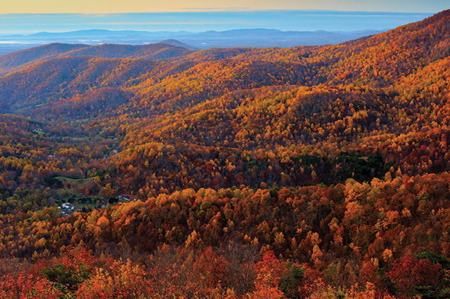 fall foliage in the mountains