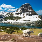 glacier national park