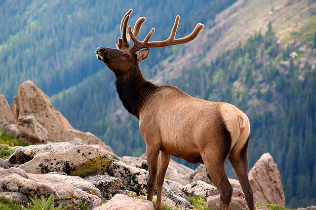 rocky mountain national park