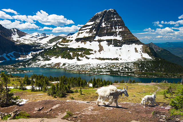 u.s. national parks 