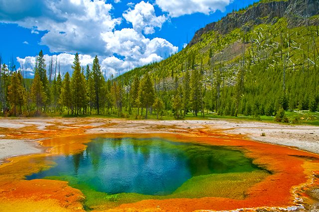 yellowstone national park 