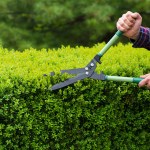 aaa trainer outdoor chores