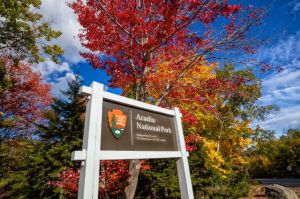 acadia national park guide