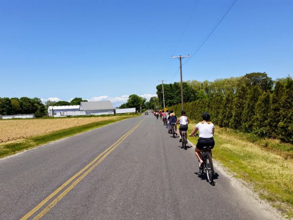 bikers on the north fork winery bike tour