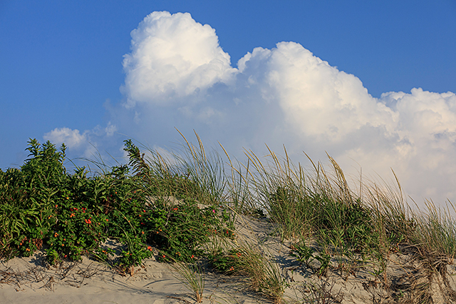 best beaches in Rhode Island