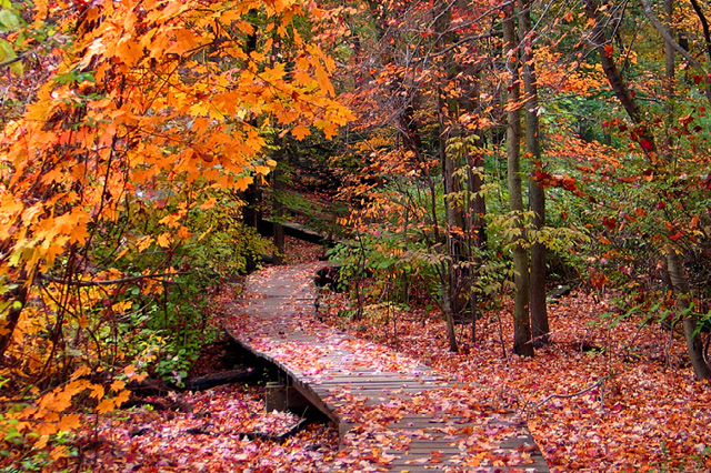 colonial greenway westchester county