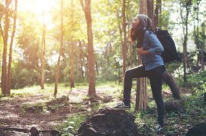 hikes in the northeast