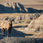 u.s. national parks