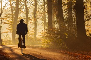 Find Bike Trails Near You