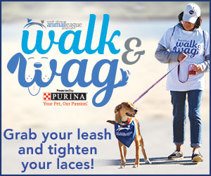 walk and wag