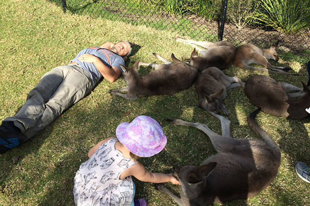 Snoozing with kangaroos