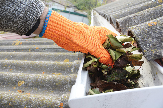 cleaning gutters fall home maintenance