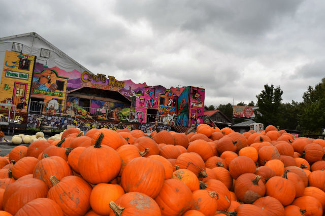 family festivals in the pocono mountains