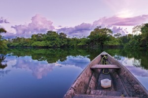 The Amazon River