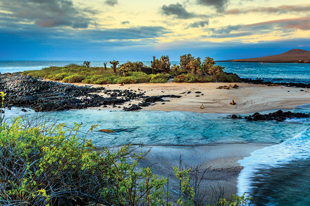 The Galapagos Islands