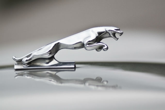 car hood ornaments