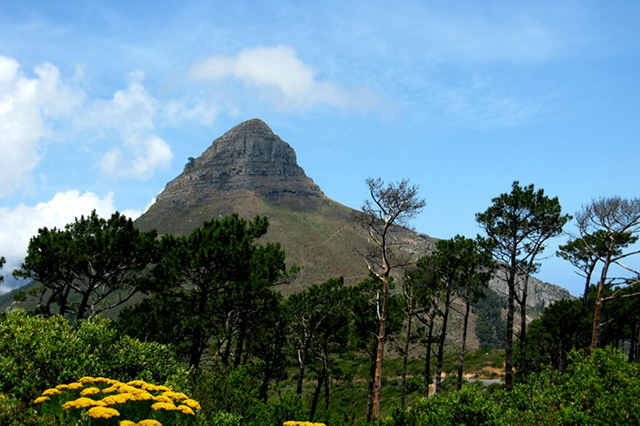 Kirstenbosch National Botanical Garden