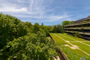 Gulbenkian Gardens