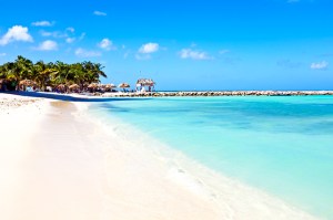 Aruba beach with turquoise waters