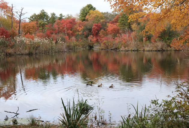 hiking long island