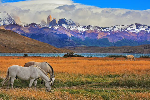 Torres del Paine