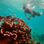 best snorkeling in the caribbean