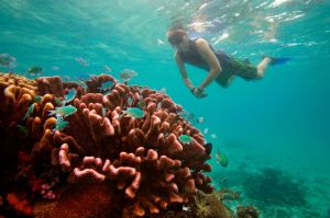 best snorkeling in the caribbean