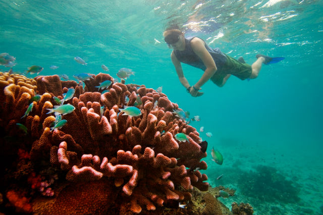 best snorkeling in the caribbean