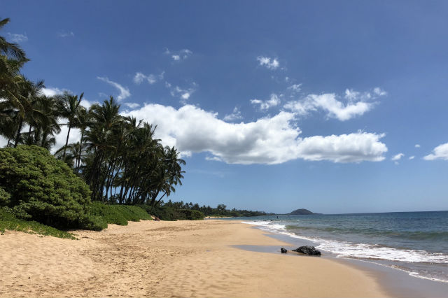 maui travel guide