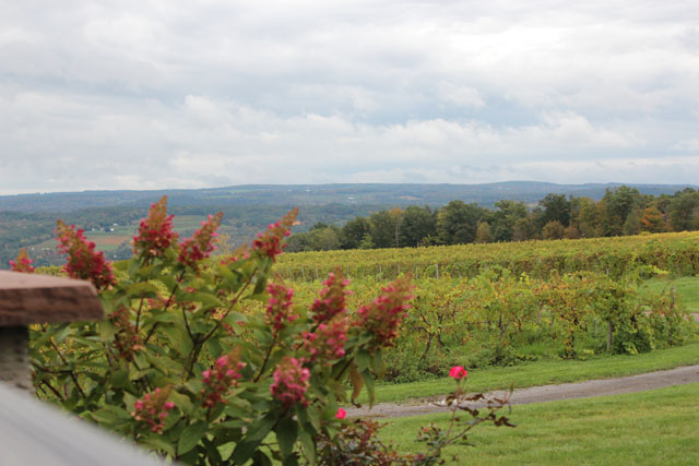 Lakewood Vineyards in Watkins Glen, N.Y.