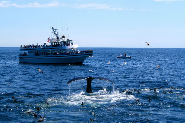 new england coastal towns