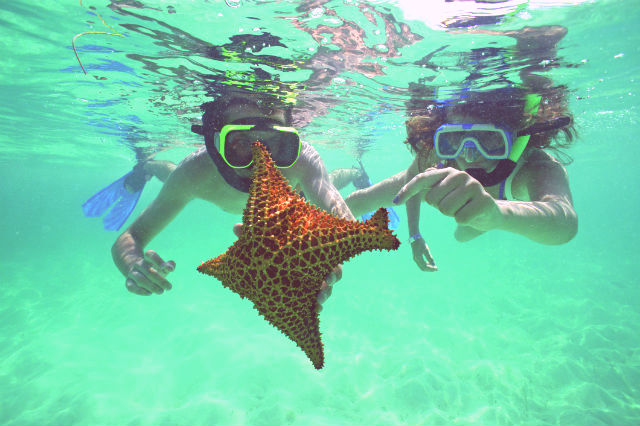 things to do in bimini