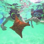 things to do in bimini