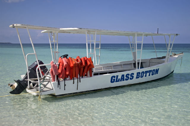 bimini water excursions